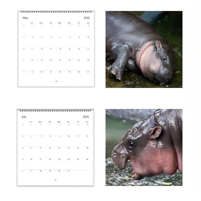 Moo Deng Calendar